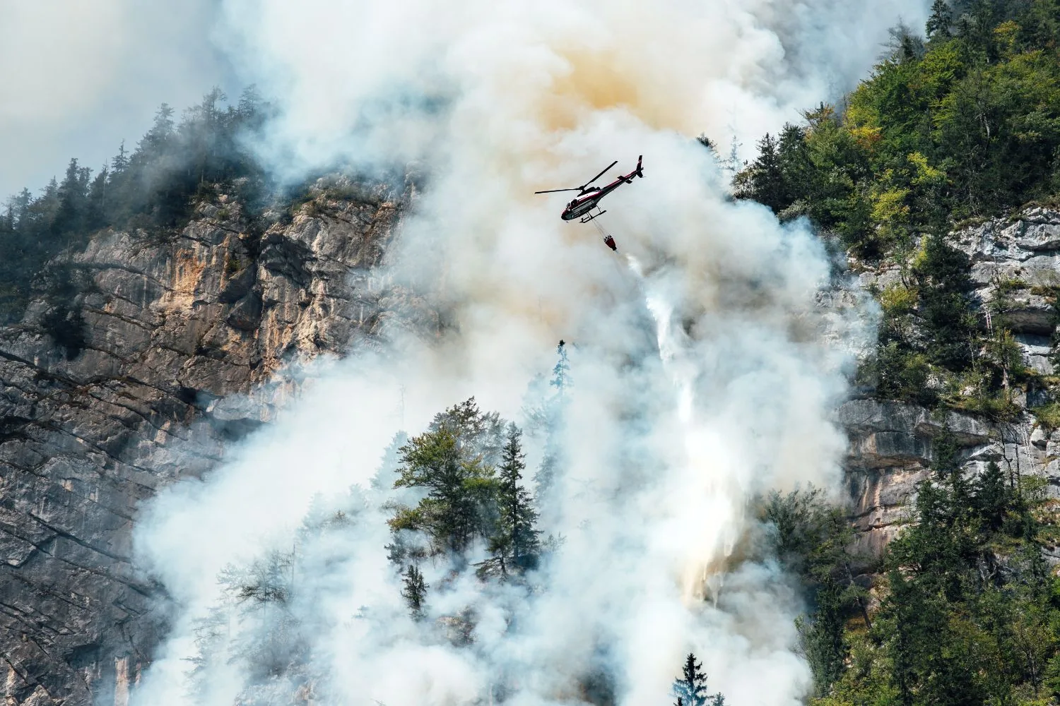 ¿Cuál es la importancia de la formación para combatir incendios forestales?