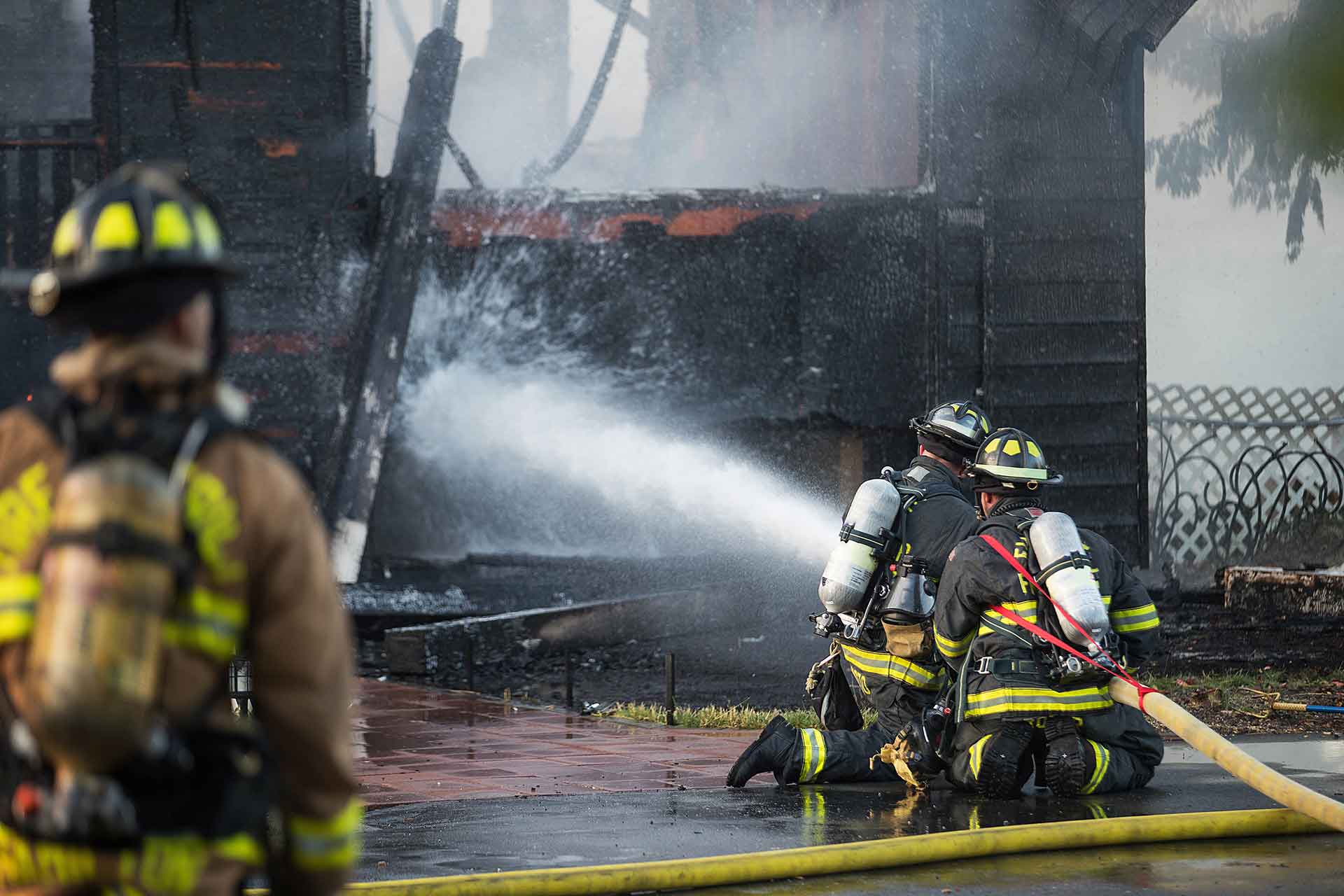 Fases Del Fuego En Un Incendio Forestal Min 3