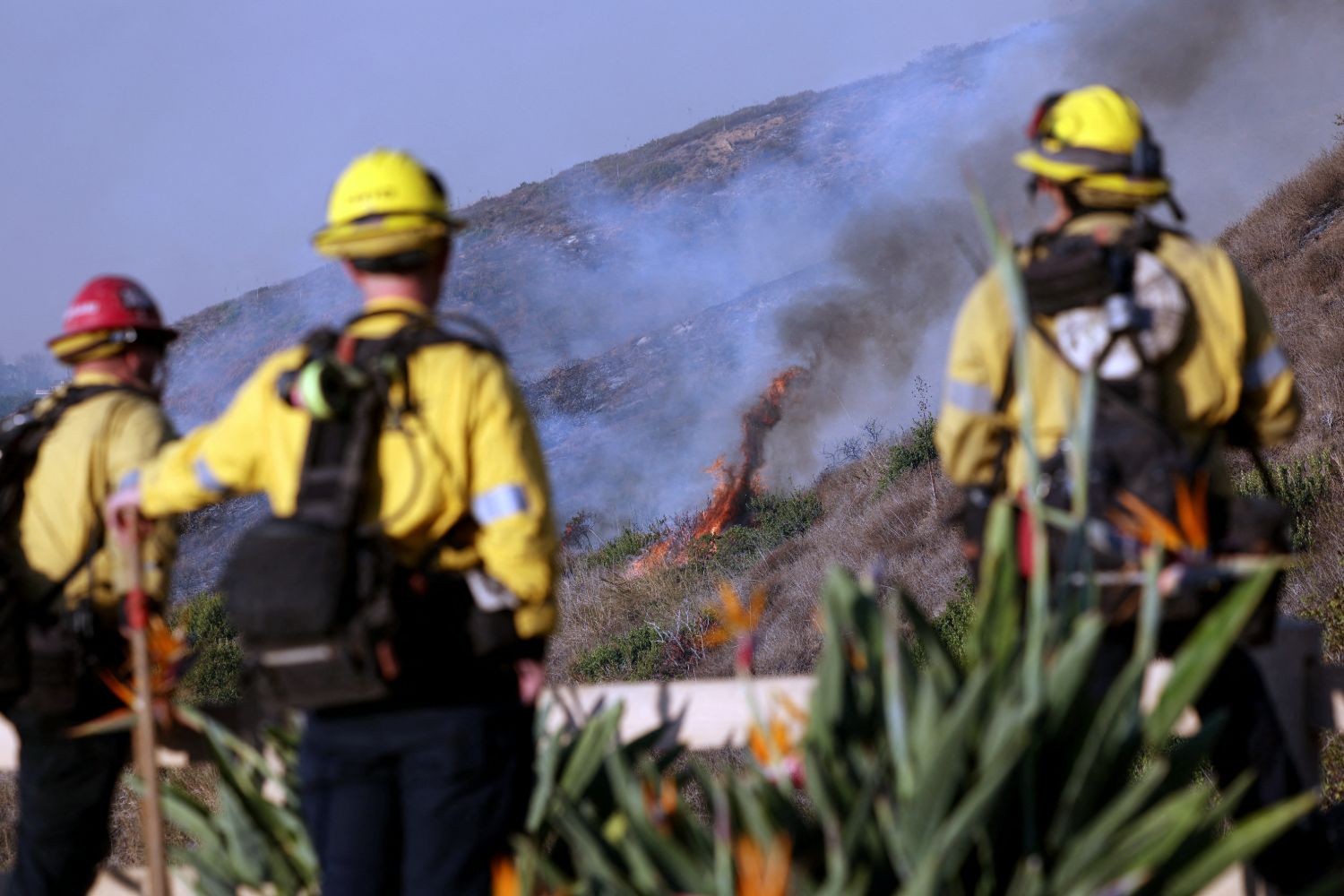 Gepcoformacion-Extincion-De-Incendios-Los-Bomberos-Luchan-Contra-El-Incendio-De-Franklin-En-Malibu-California Gepcoformacion Extincion De Incendios Los Bomberos Luchan Contra El Incendio De Franklin En Malibu California